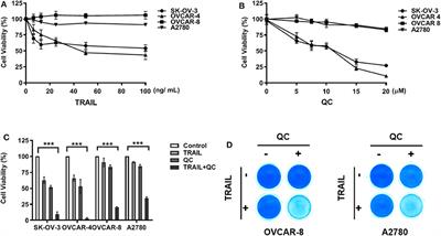 Repositioning Quinacrine Toward Treatment of Ovarian Cancer by Rational Combination With TRAIL